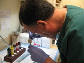 Step 2. Tissue is inked and placed on chuck Step 2. Tissue is inked and placed on chuck