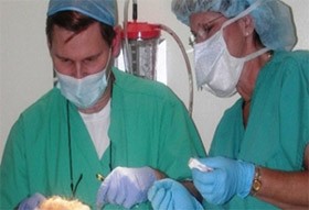 Step 5. Defect closure by Dr. Harvey & team Step 5. Defect closure by Dr. Harvey & team
